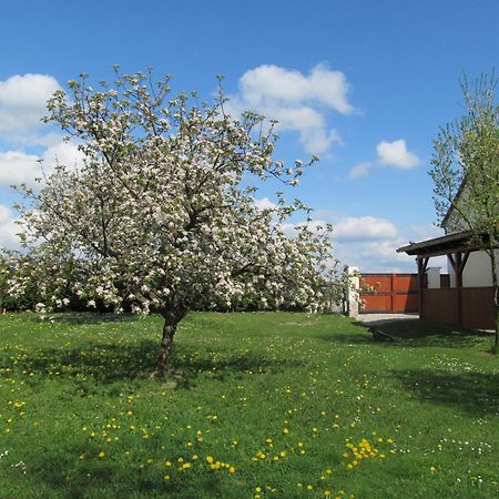 Pension Otevek Trhové Sviny Extérieur photo