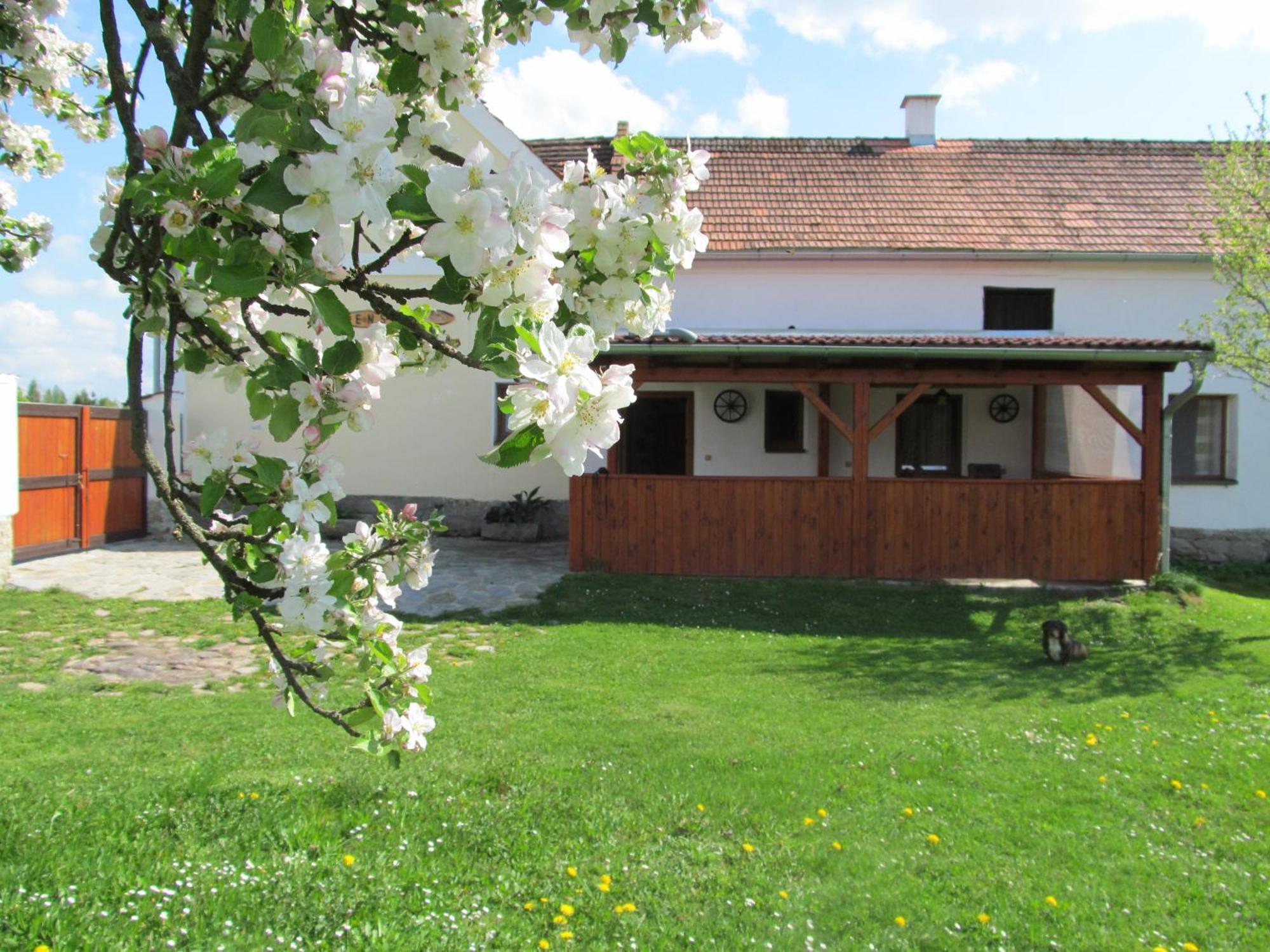 Pension Otevek Trhové Sviny Extérieur photo