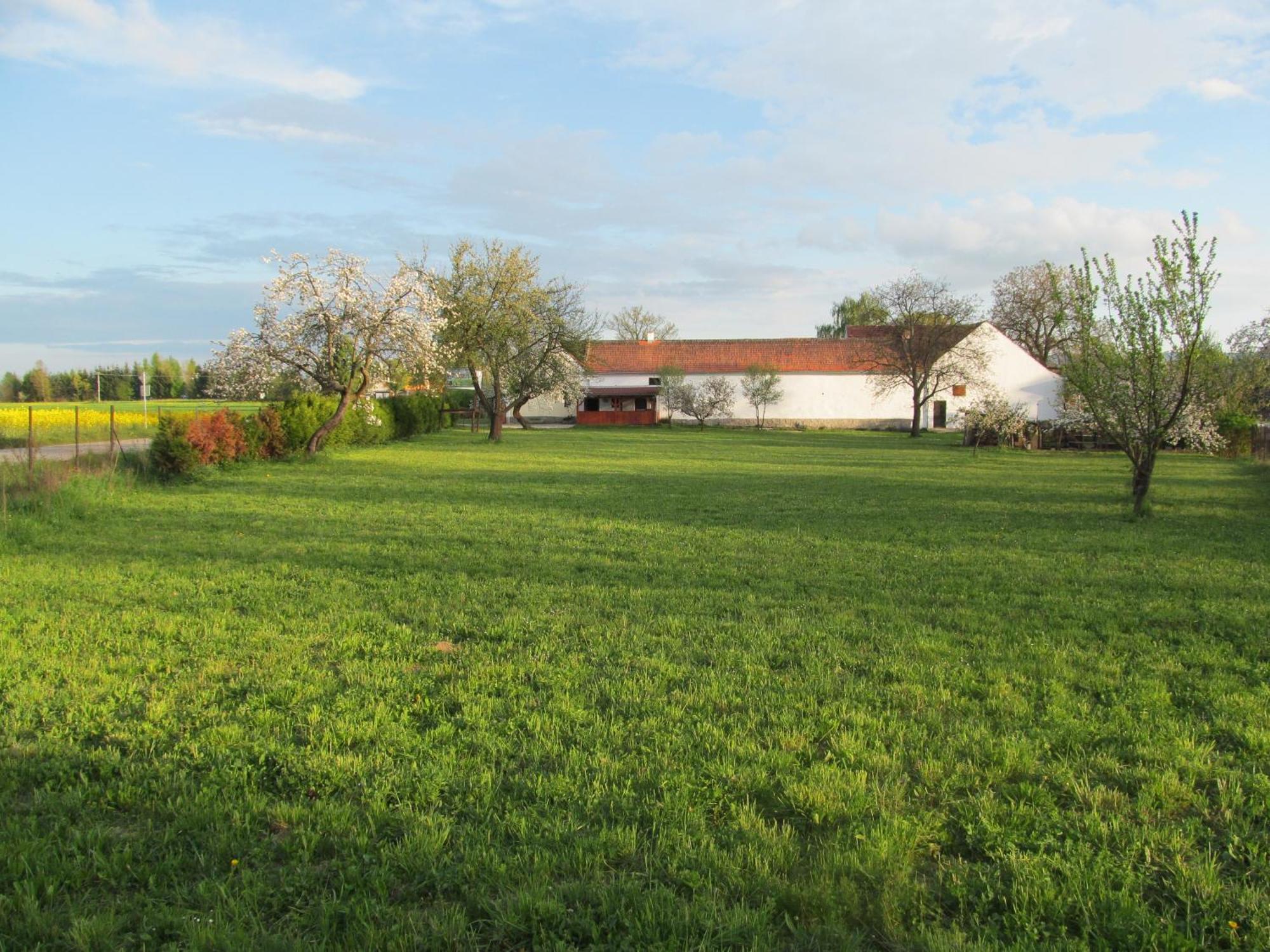 Pension Otevek Trhové Sviny Extérieur photo