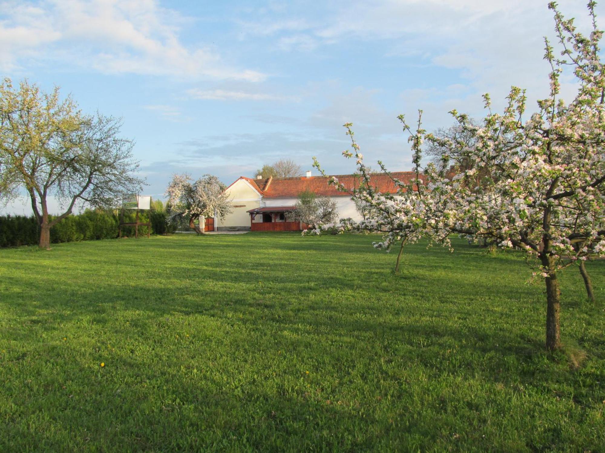 Pension Otevek Trhové Sviny Extérieur photo