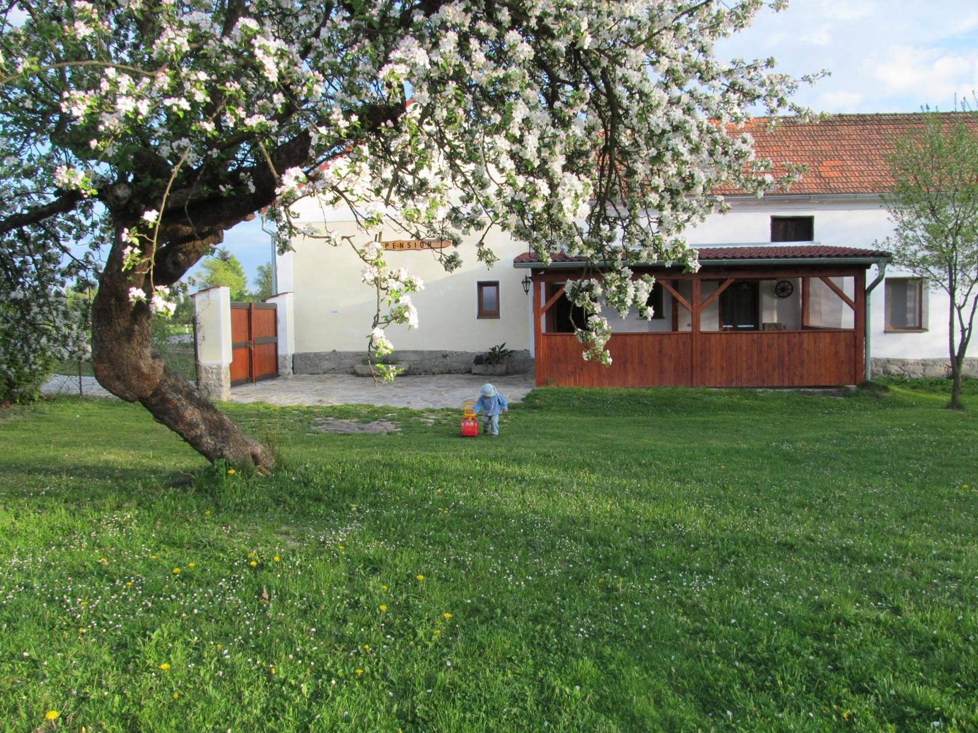 Pension Otevek Trhové Sviny Extérieur photo