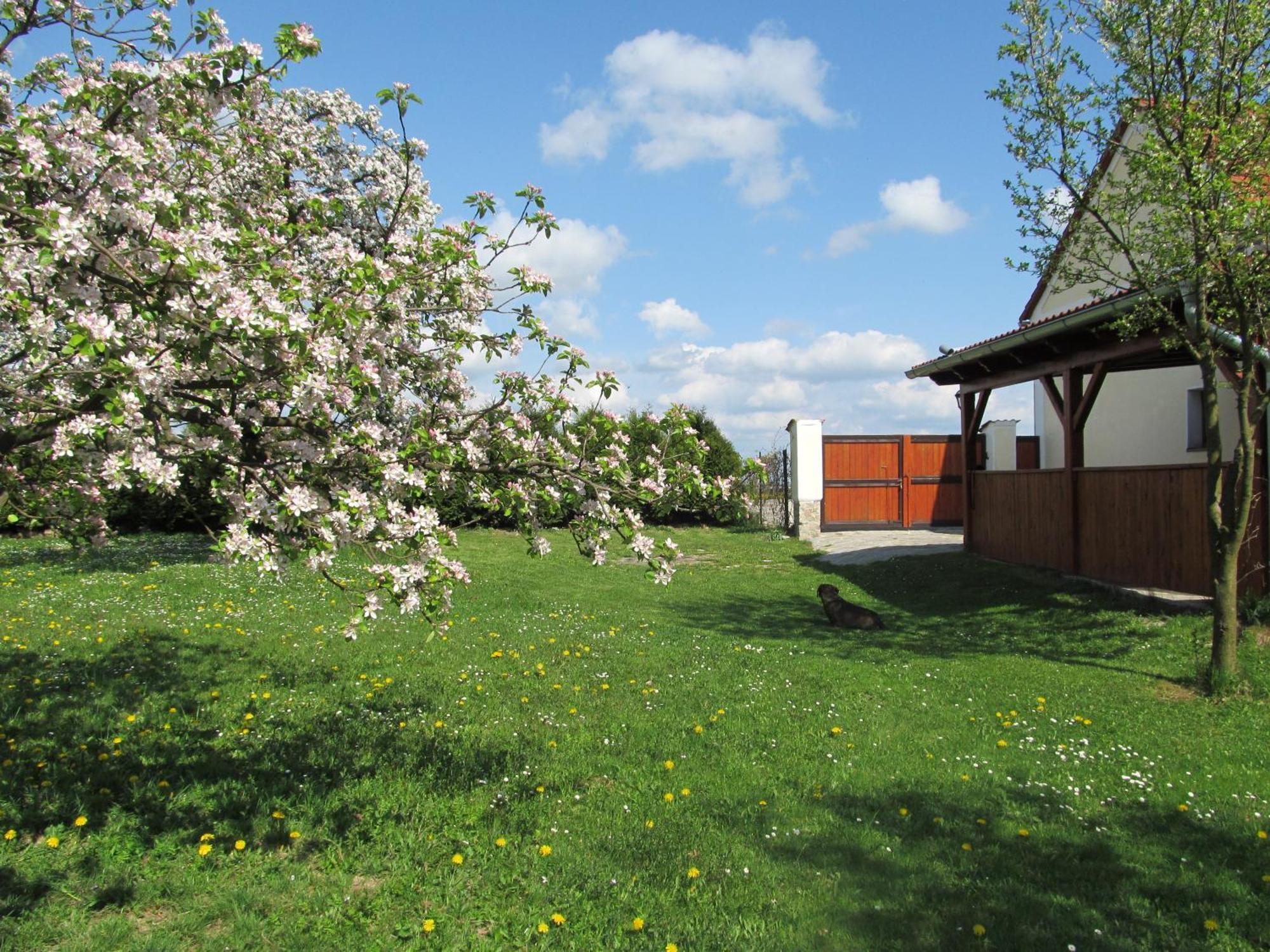 Pension Otevek Trhové Sviny Extérieur photo